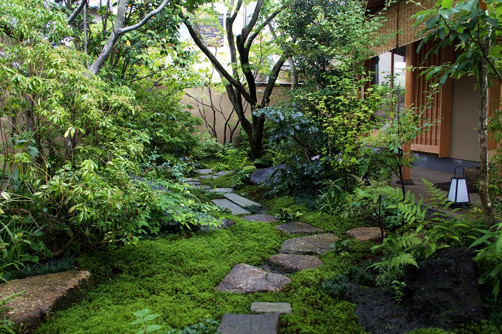 市中の山居 踏み石を一歩ずつ踏みしめる度に幽玄な世界へと誘います 株式会社 樹 暮らしを変える庭 市中の山居 踏み石を一歩ずつ踏みしめる度に幽玄な世界へと誘います 株式会社 樹 暮らしを変える庭