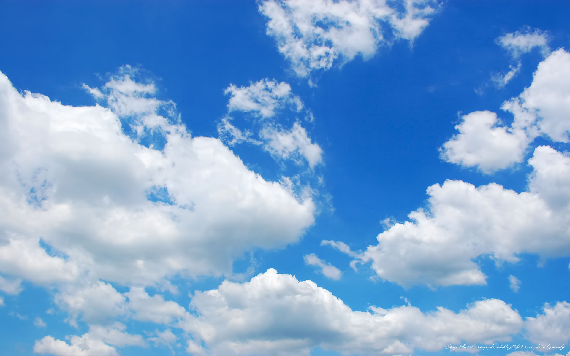 青空 株式会社 樹 暮らしを変える庭 青空 株式会社 樹 暮らしを変える庭